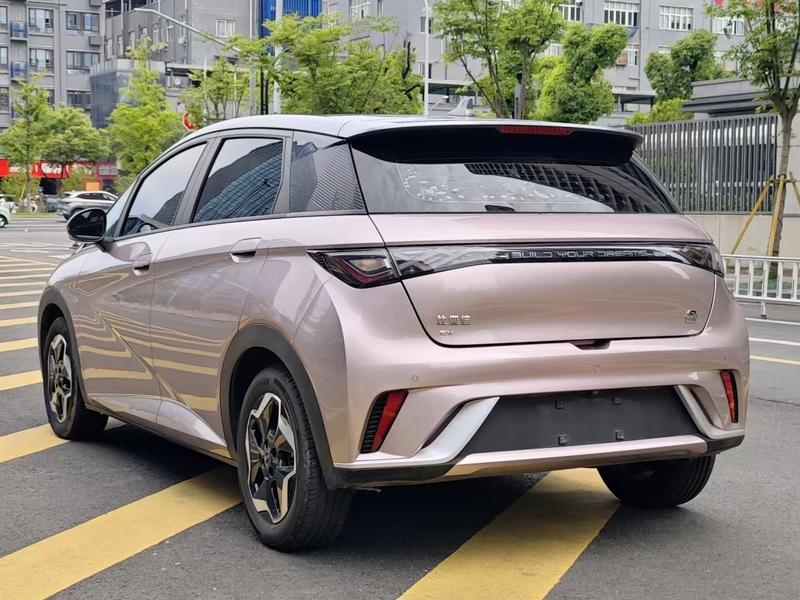 BYD Dolphin - фото 4