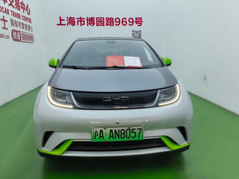 BYD Dolphin - фото 1