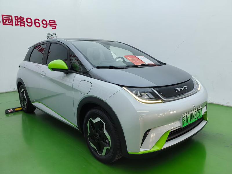 BYD Dolphin - фото 2