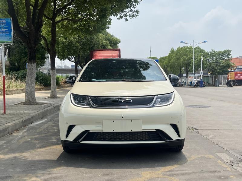 BYD Dolphin - фото 1