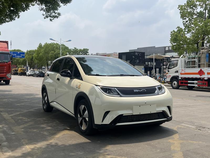 BYD Dolphin - фото 2