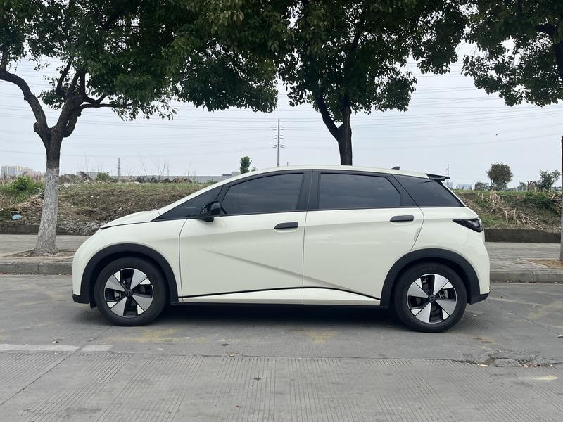 BYD Dolphin - фото 3