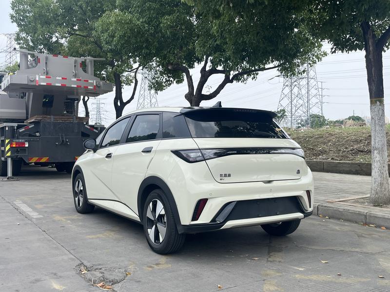 BYD Dolphin - фото 4