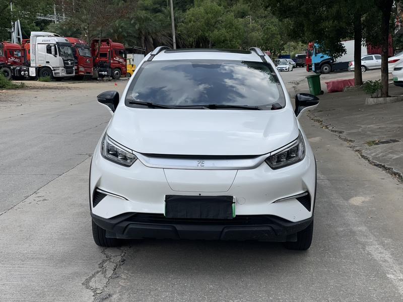 BYD Pro - фото 1
