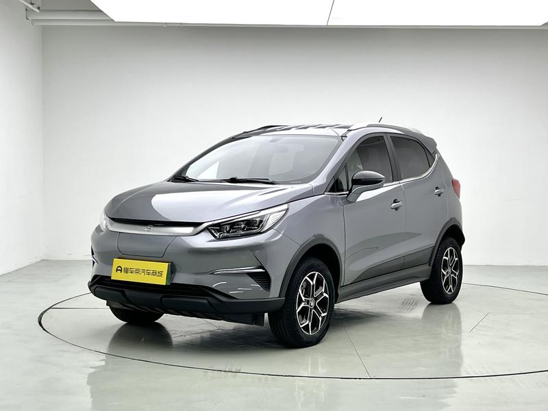 BYD Pro - фото 0