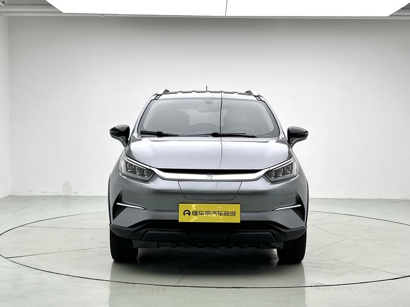 BYD Pro - фото 1