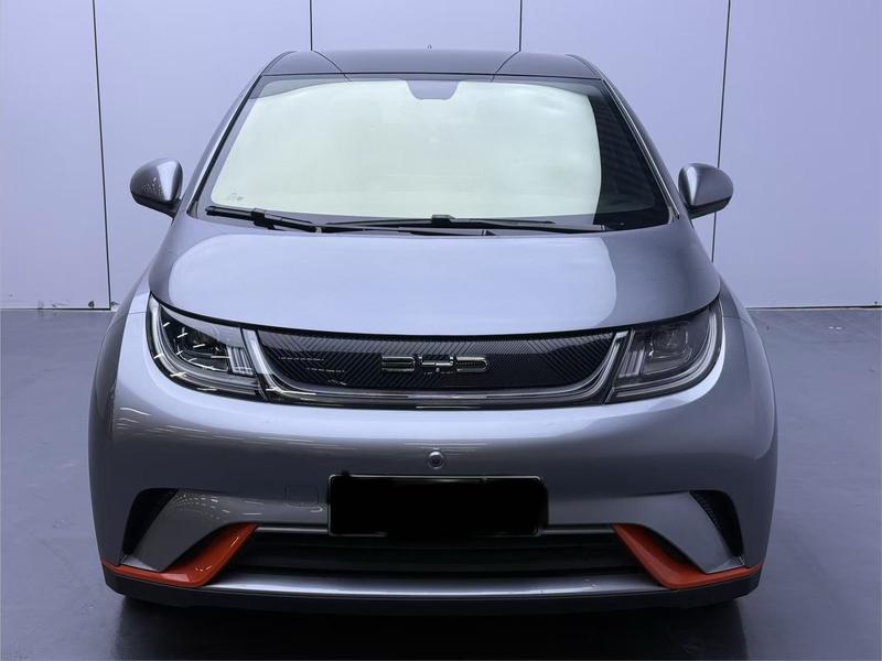 BYD Dolphin - фото 1