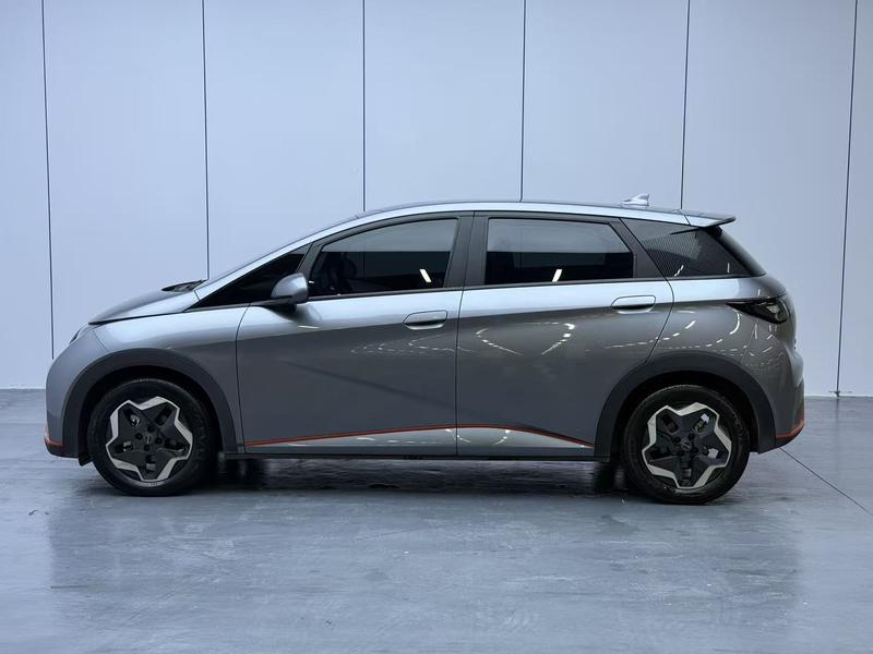 BYD Dolphin - фото 3