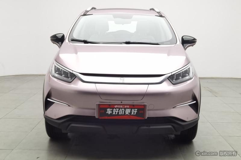 BYD Pro - фото 1