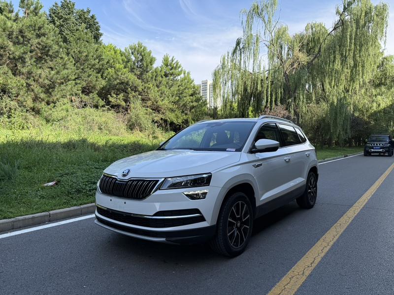 Skoda Karoq - фото 0