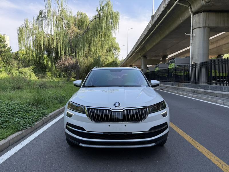 Skoda Karoq - фото 1