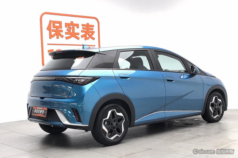 BYD Dolphin - фото 3
