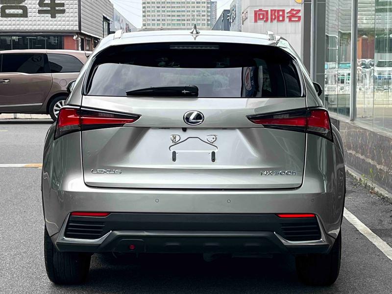 Lexus NX - фото 3