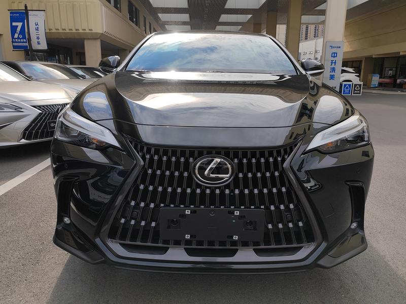 Lexus NX - фото 1