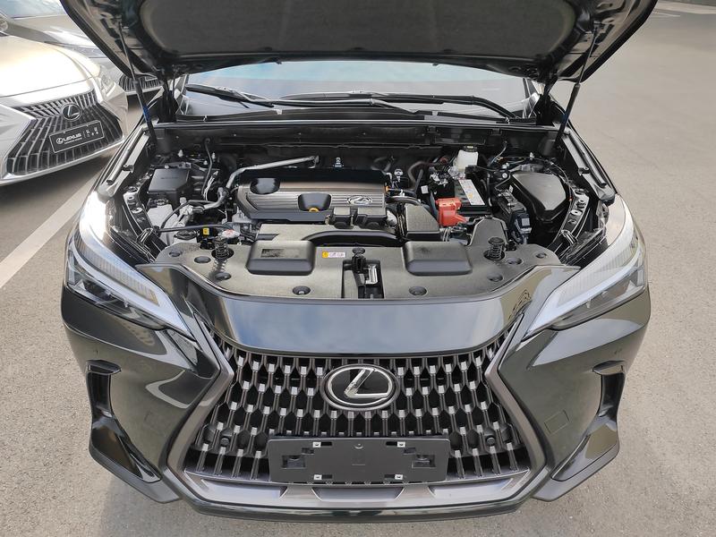 Lexus NX - фото 4