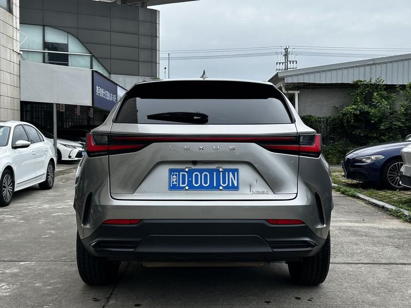 Lexus NX - фото 4