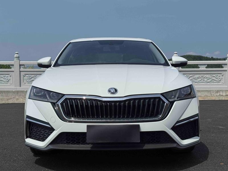 Skoda Octavia - фото 1