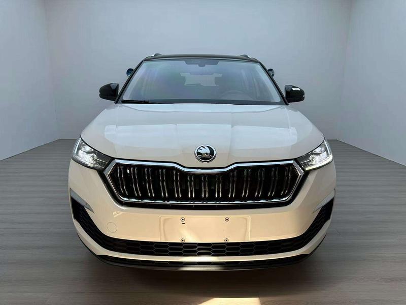 Skoda GT - фото 1