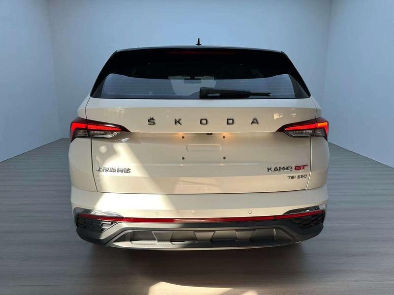 Skoda GT - фото 4
