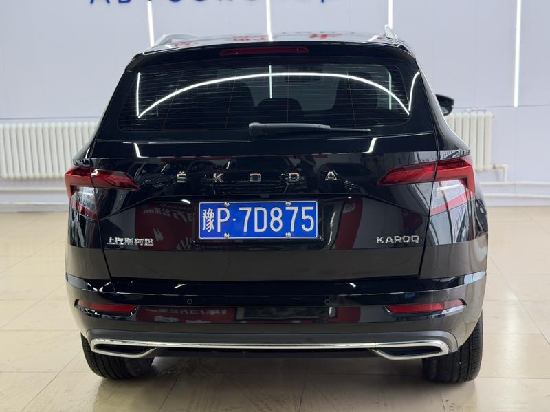 Skoda Karoq - фото 4
