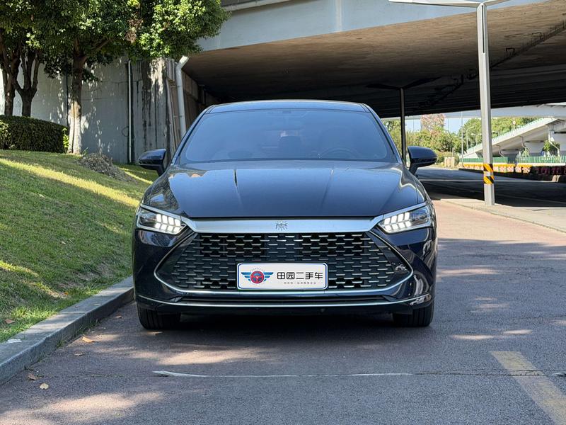 BYD Qin PLUS DM-i - фото 1