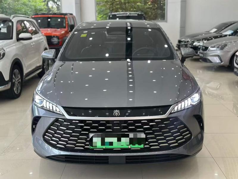 BYD Qin PLUS DM-i - фото 1