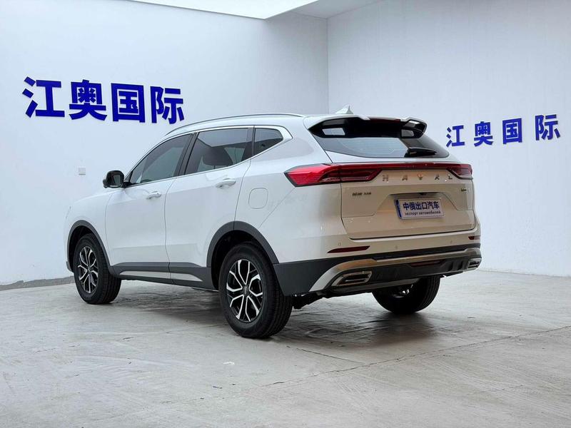 Haval H6 - фото 3