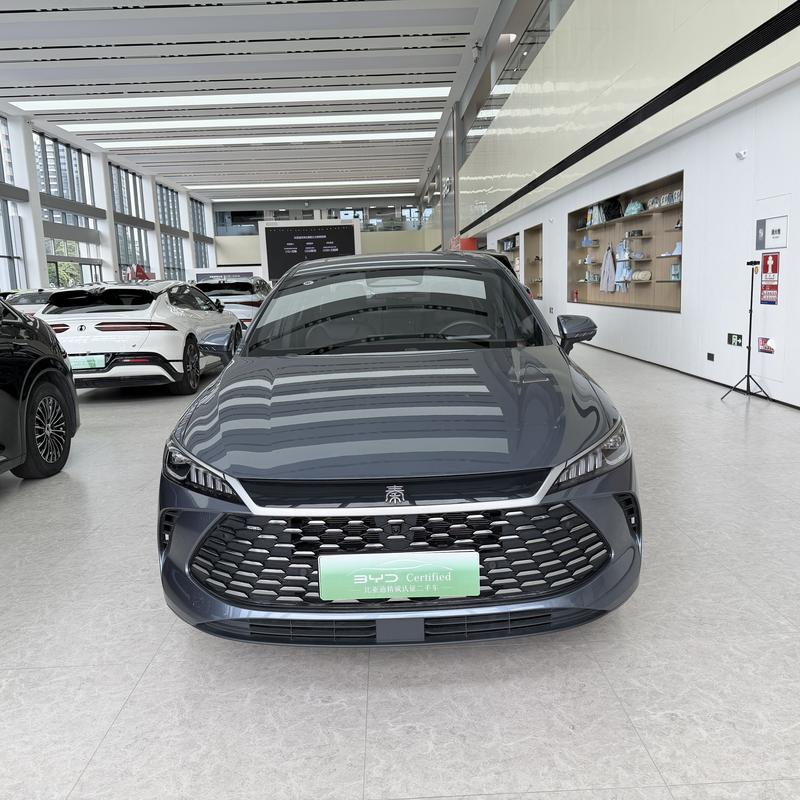 BYD Qin PLUS DM-i - фото 1