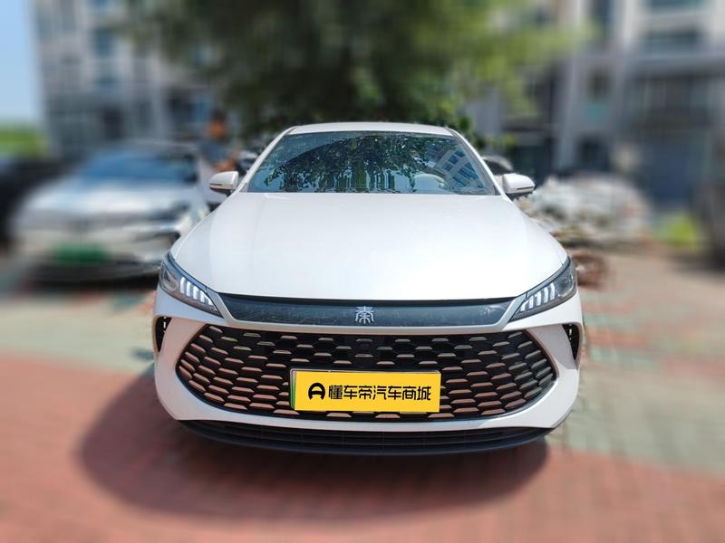 BYD Qin PLUS DM-i - фото 1