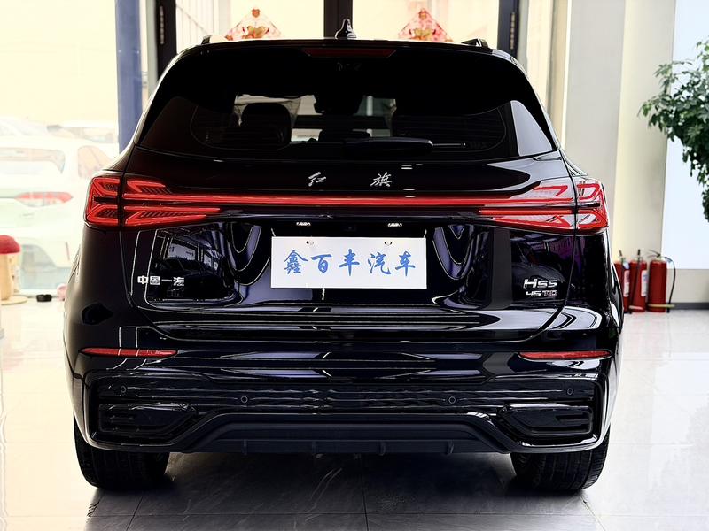 Hongqi HS5 - фото 4