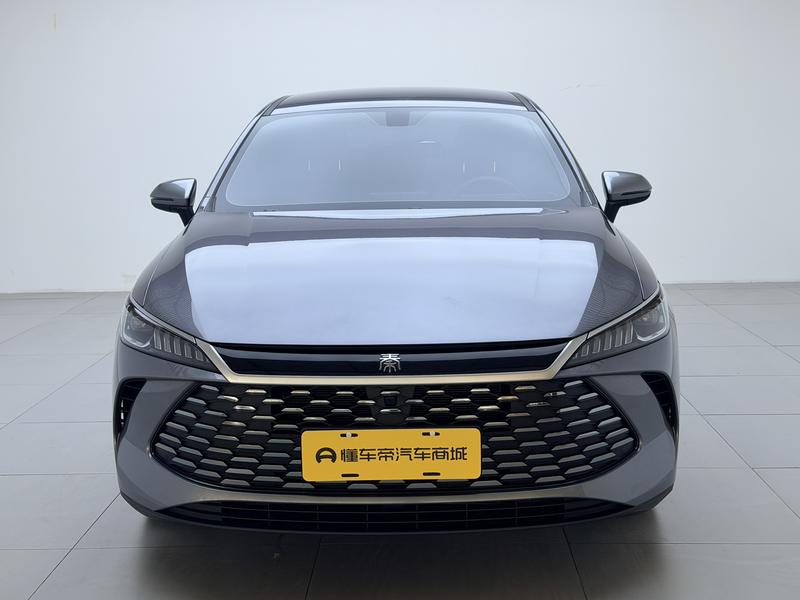 BYD Qin PLUS DM-i - фото 1