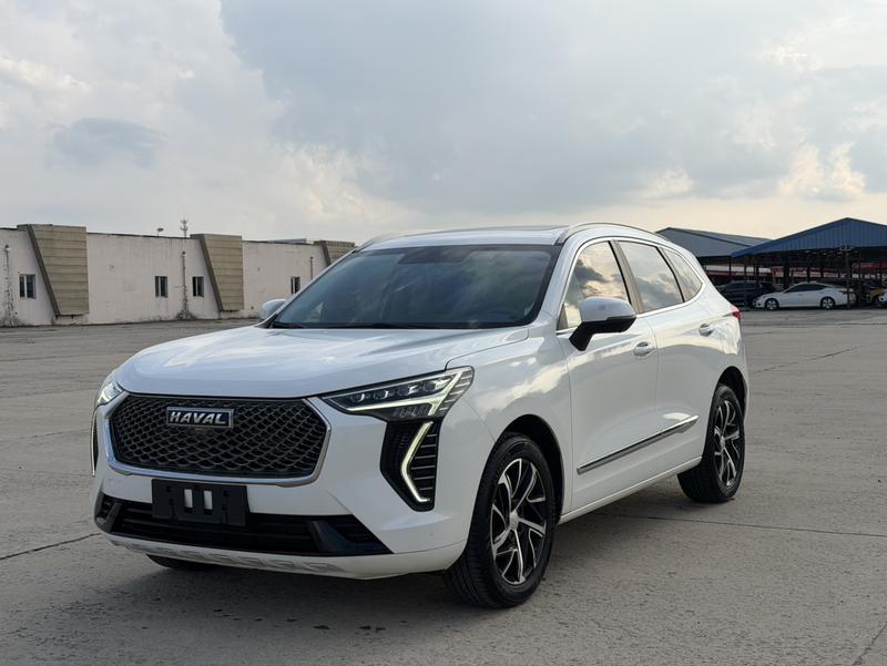 Haval 哈弗初恋 - фото 0