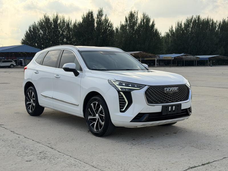 Haval 哈弗初恋 - фото 2
