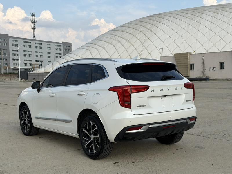 Haval 哈弗初恋 - фото 3