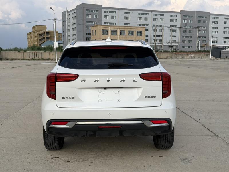 Haval 哈弗初恋 - фото 4