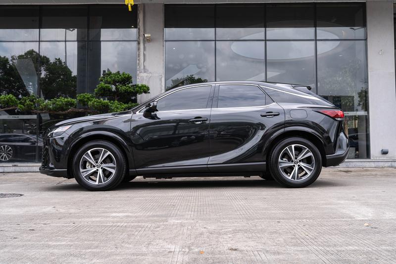 Lexus RX - фото 2