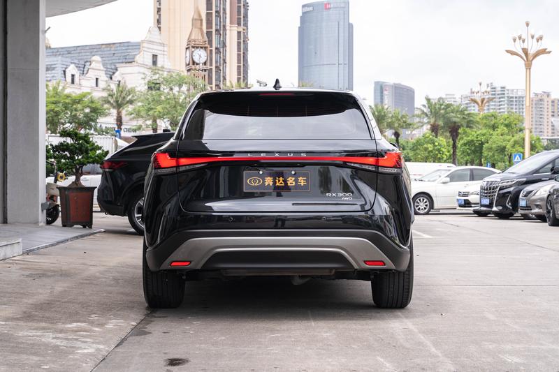 Lexus RX - фото 3