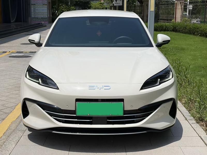 BYD 06DM - фото 1