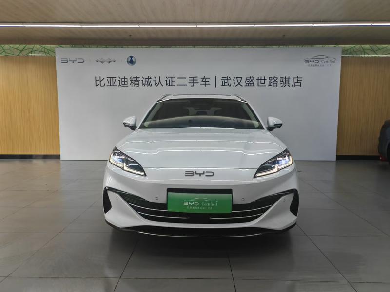 BYD 06DM - фото 1