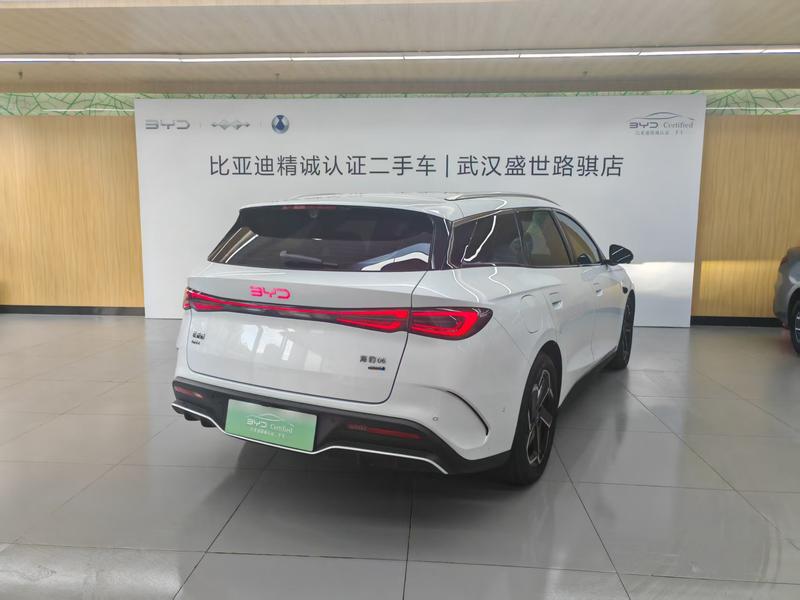 BYD 06DM - фото 4