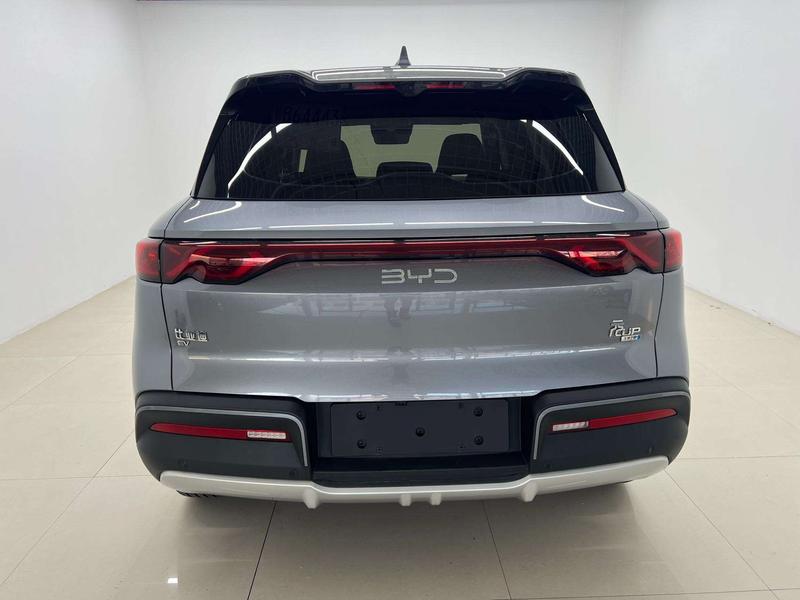 BYD UP - фото 4