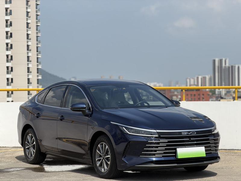 BYD Destroyer 05 - фото 2