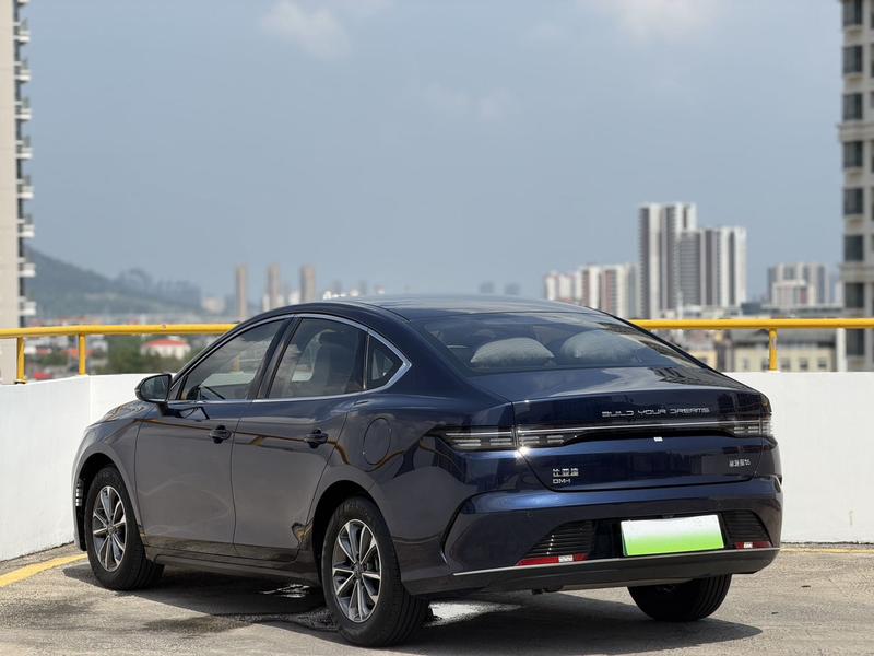 BYD Destroyer 05 - фото 4