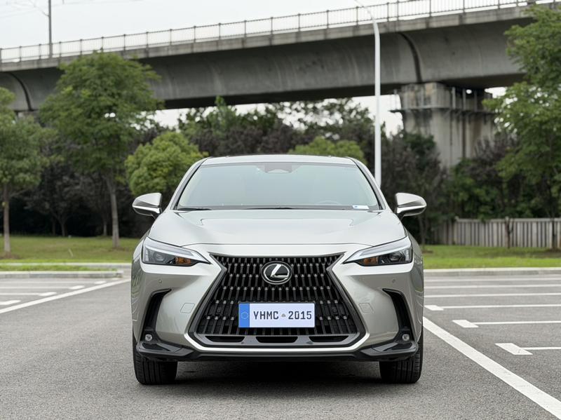 Lexus NX - фото 1