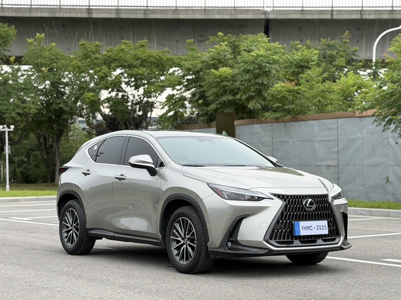 Lexus NX - фото 2