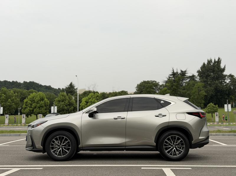 Lexus NX - фото 3