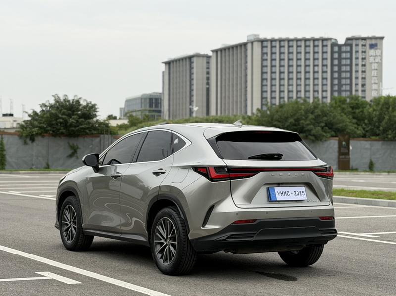 Lexus NX - фото 4