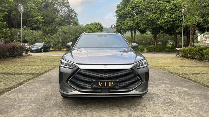 BYD PLUS DM - фото 1