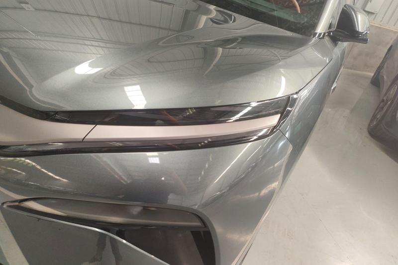 BYD L DM - фото 4