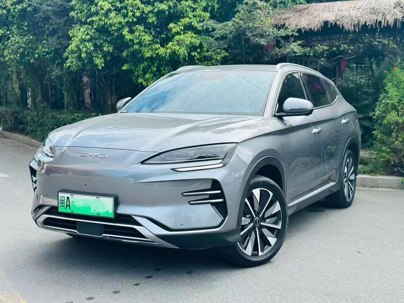 BYD PLUS EV - фото 0